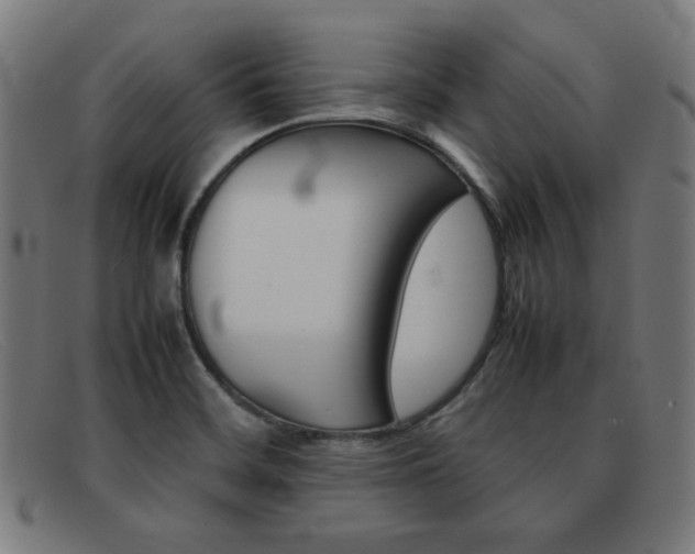 X0000092101468200709121100