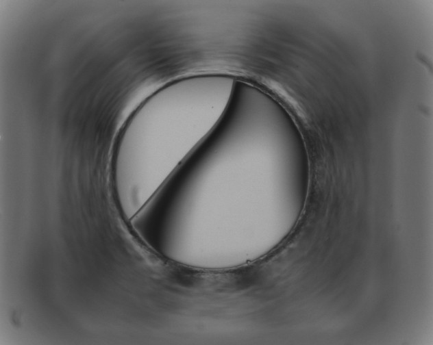 X0000092101469200709121100