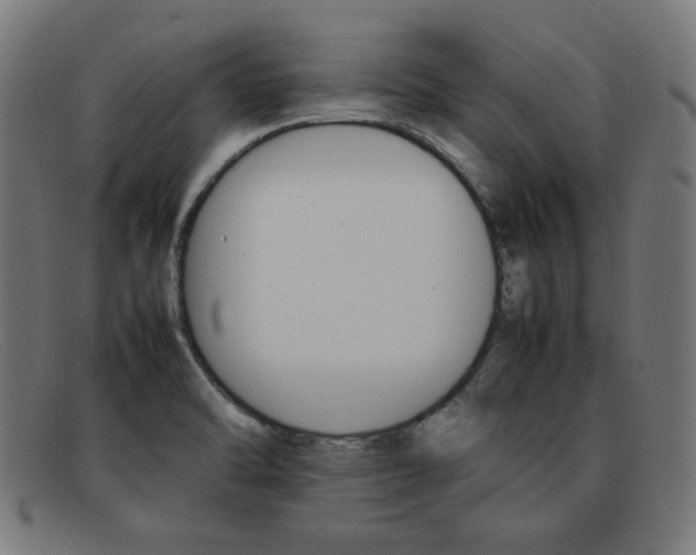 X0000092101470200709121100