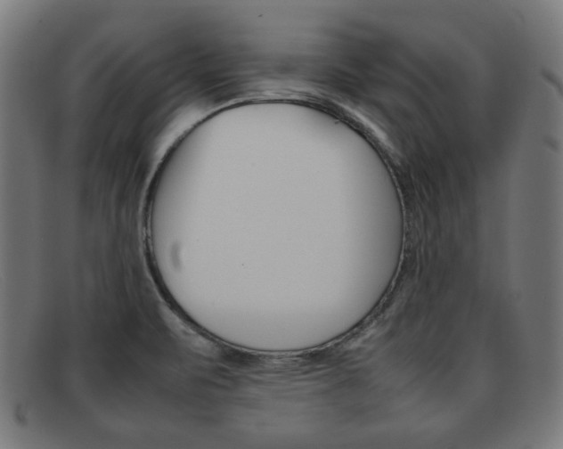 X0000092101471200709121100