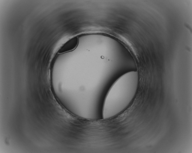 X0000092101472200709121100