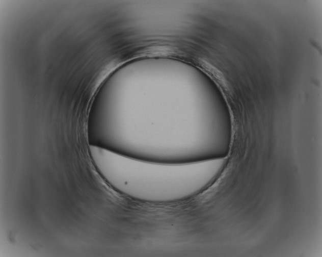 X0000092101473200709121100