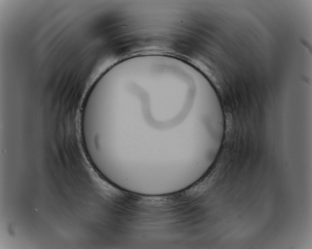 X0000092101474200709121100
