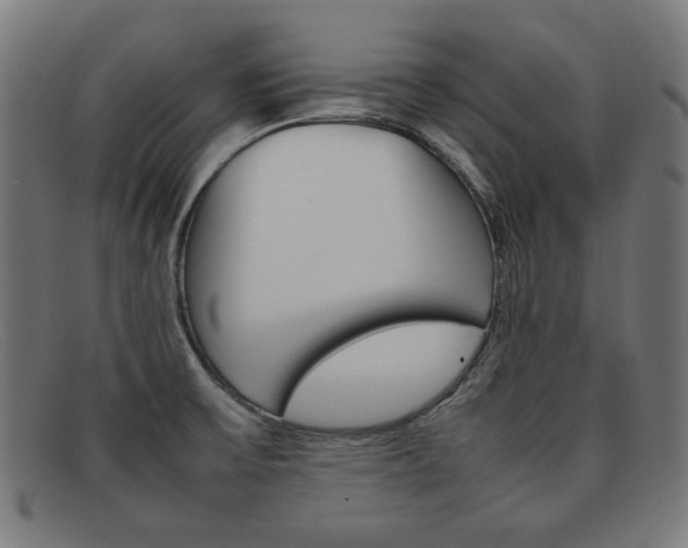 X0000092101475200709121100