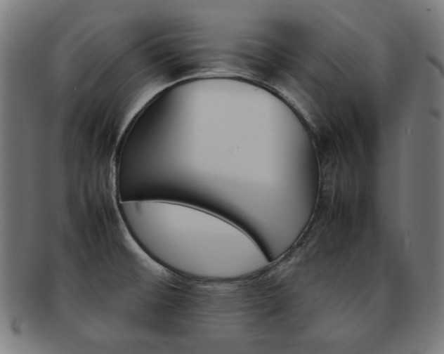 X0000092101476200709121100