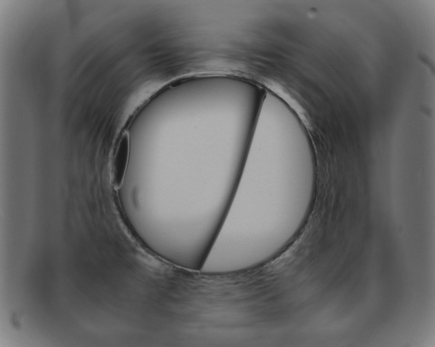 X0000092101477200709121100