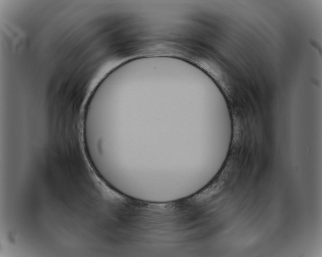 X0000092101478200709121100
