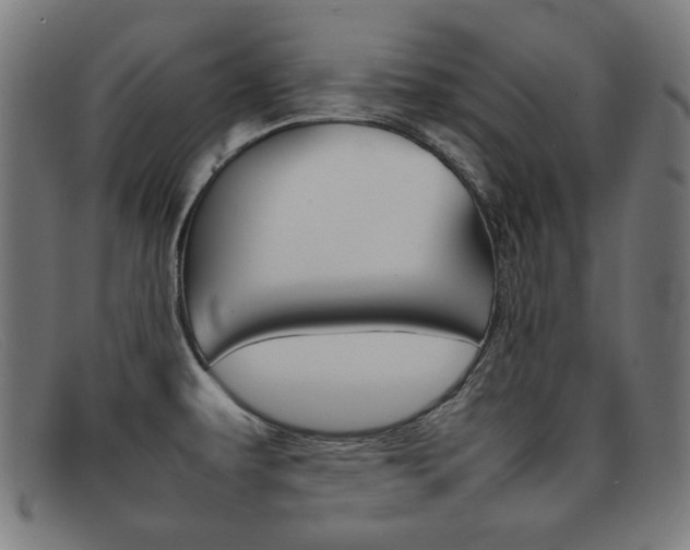 X0000092101479200709121059