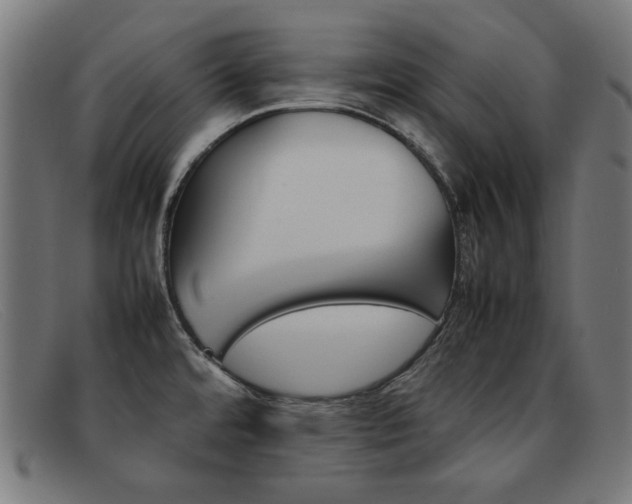 X0000092101480200709121059