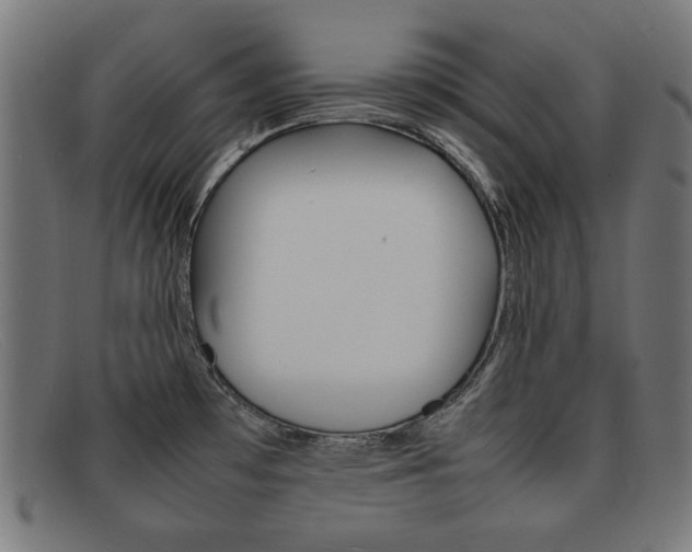 X0000092101481200709121059