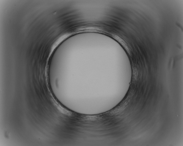 X0000092101482200709121059