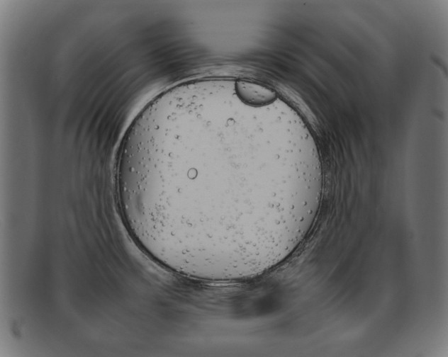 X0000092101483200709121059