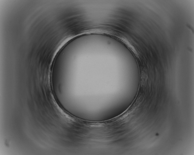 X0000092101484200709121059