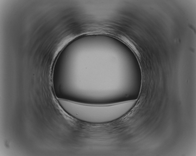 X0000092101485200709121059