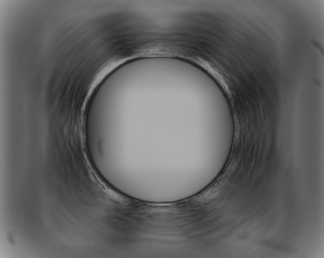 X0000092101486200709121059