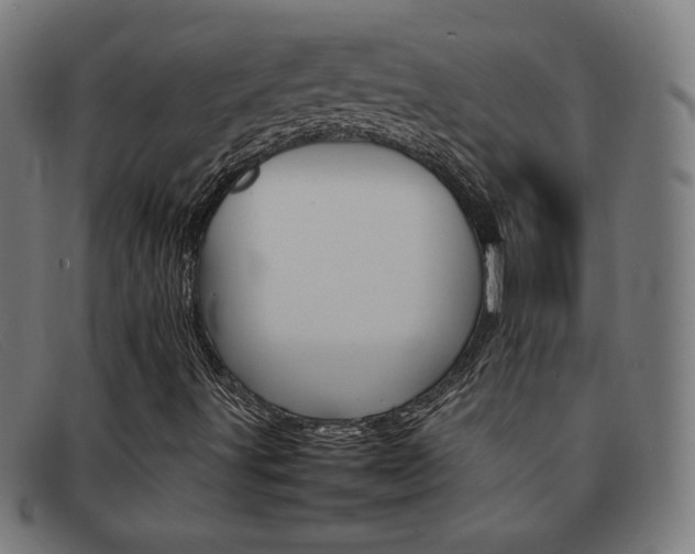 X0000092101491200709121059