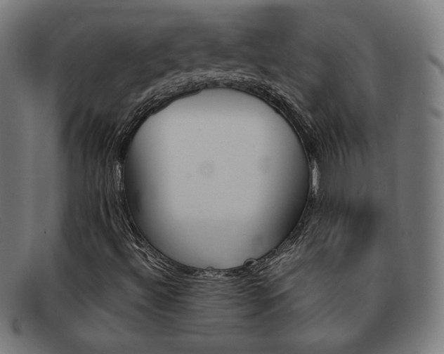 X0000092101492200709121059