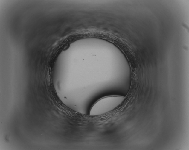 X0000092101493200709121059