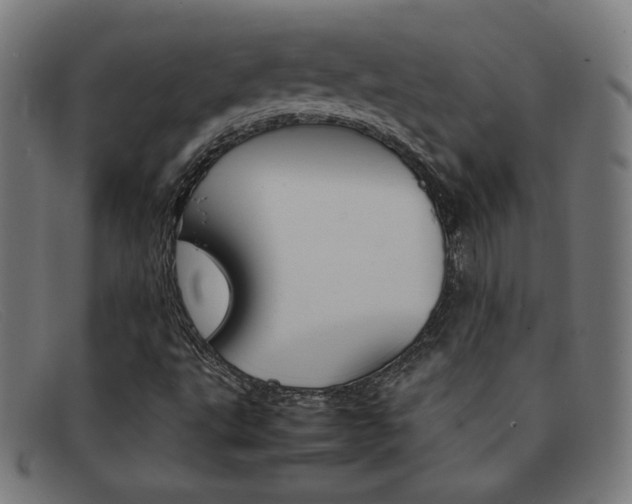 X0000092101495200709121059