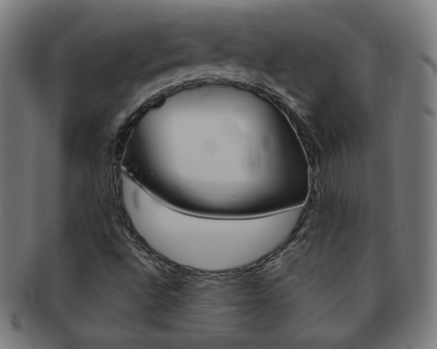 X0000092101496200709121059