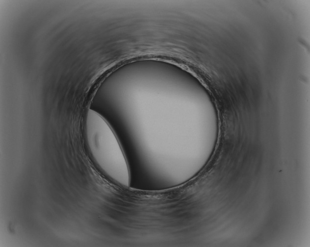 X0000092101497200709121059
