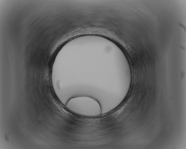 X0000092101498200709121059
