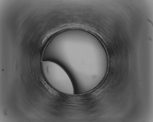 X0000092101499200709121059