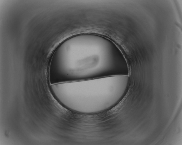X0000092101500200709121059
