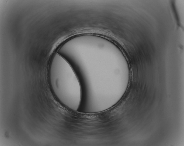 X0000092101501200709121059