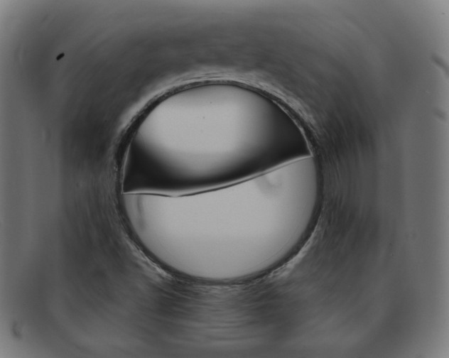 X0000092101502200709121059
