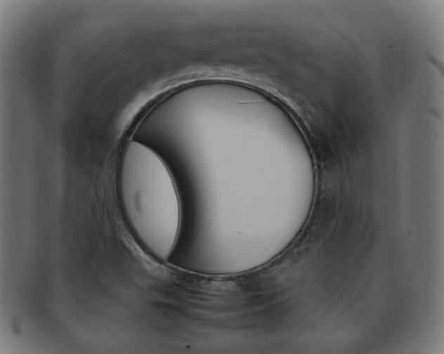 X0000092101503200709121059
