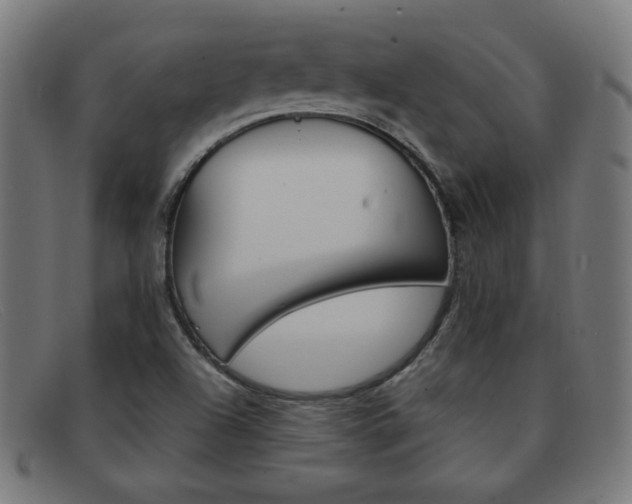 X0000092101504200709121059