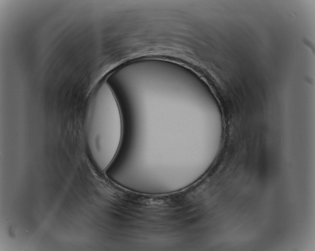 X0000092101505200709121059