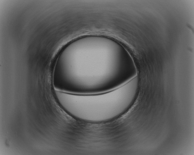X0000092101506200709121059