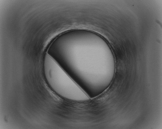 X0000092101507200709121059