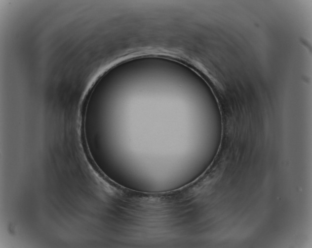 X0000092101508200709121059