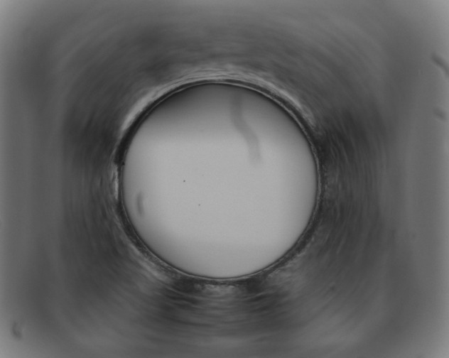 X0000092101509200709121059