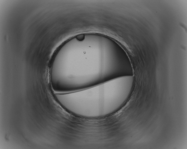X0000092101510200709121059