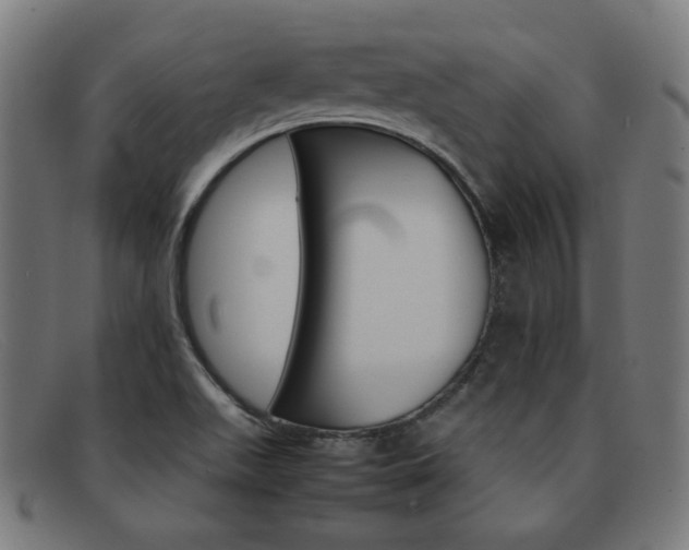 X0000092101511200709121059