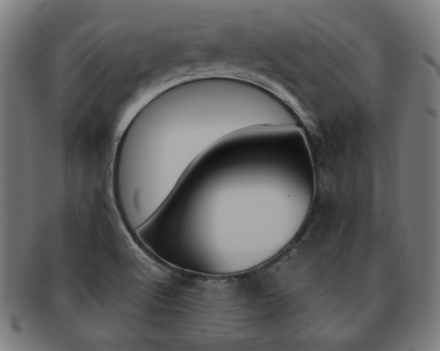 X0000092101512200709121059