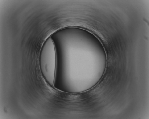 X0000092101513200709121059