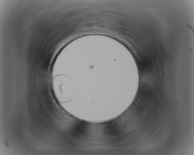 X0000092101514200709121059