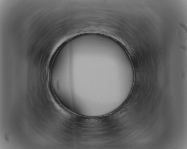 X0000092101515200709121059