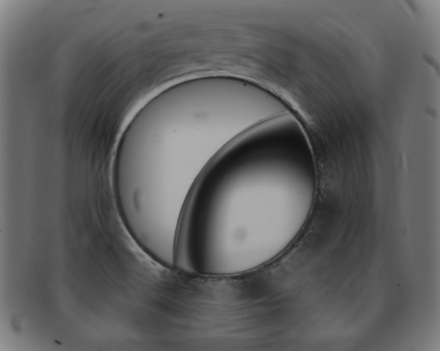 X0000092101516200709121059