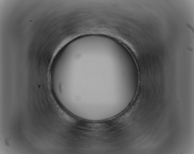 X0000092101517200709121059