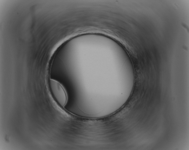 X0000092101518200709121059