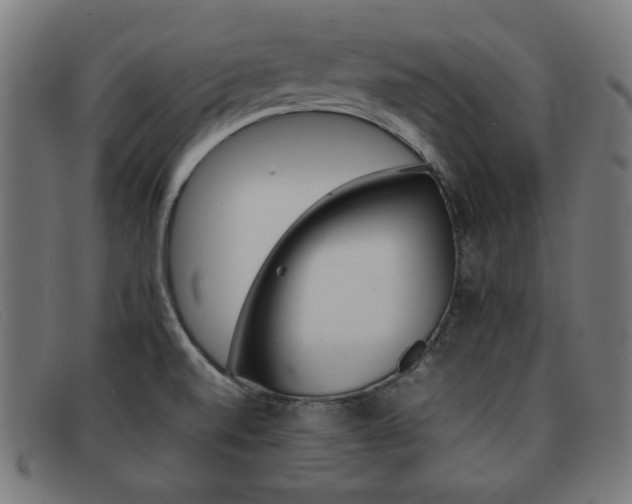 X0000092101520200709121059
