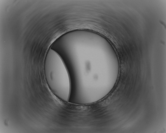 X0000092101521200709121059