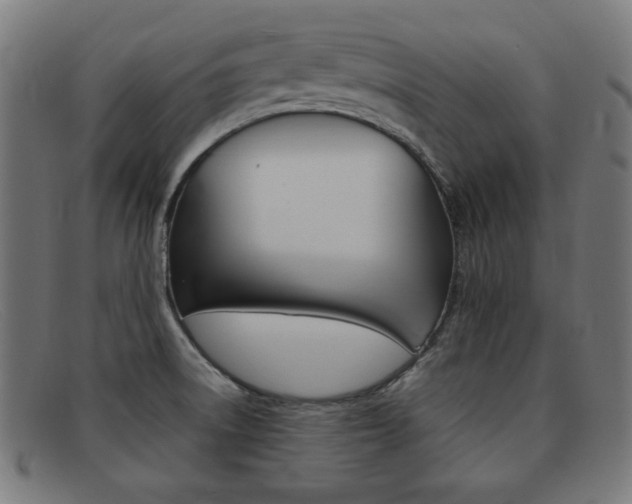 X0000092101522200709121059