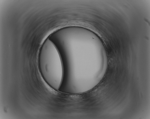 X0000092101523200709121059